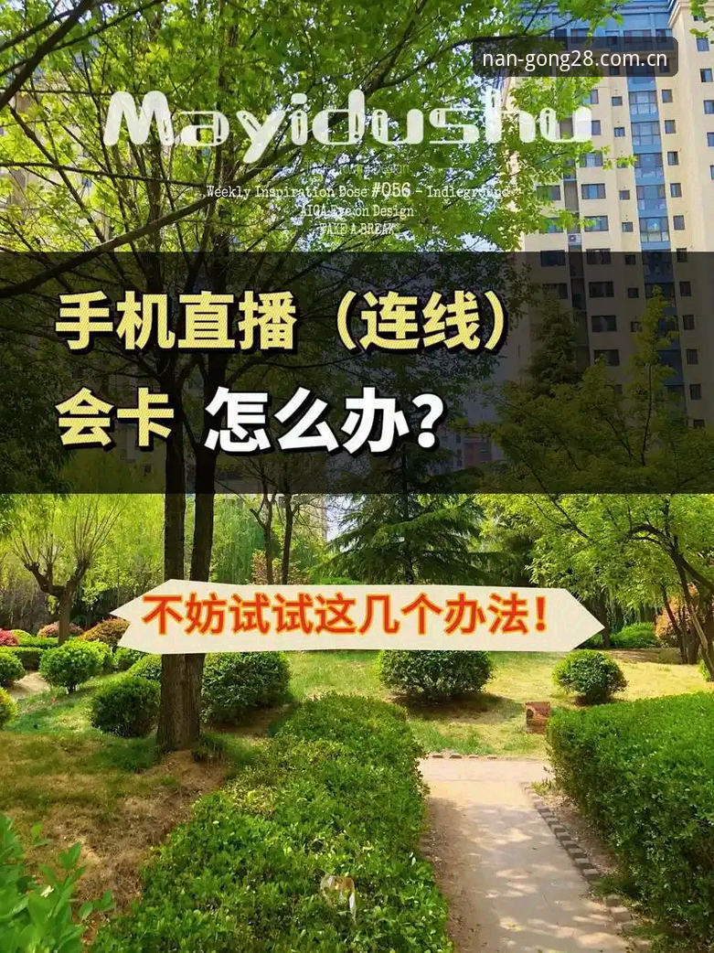 南宫28平台实测：一场直播卡顿解决后，才发现“为什么”比“怎么办”更重要